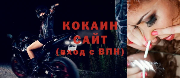 сатива Балахна
