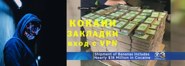 сатива Балахна