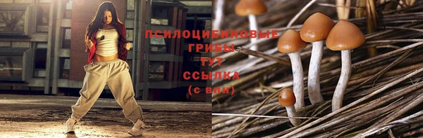 сатива Балахна