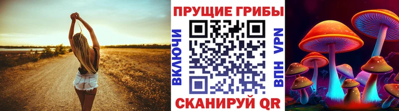 закладки  Карабулак  блэк спрут маркетплейс  Псилоцибиновые грибы GOLDEN TEACHER 